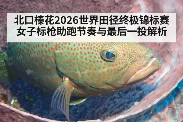 北口榛花2026世界田径终极锦标赛女子标枪助跑节奏与最后一投解析