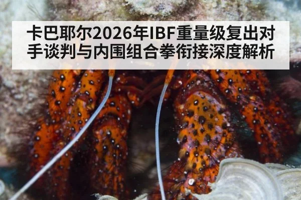 卡巴耶尔2026年IBF重量级复出对手谈判与内围组合拳衔接深度解析